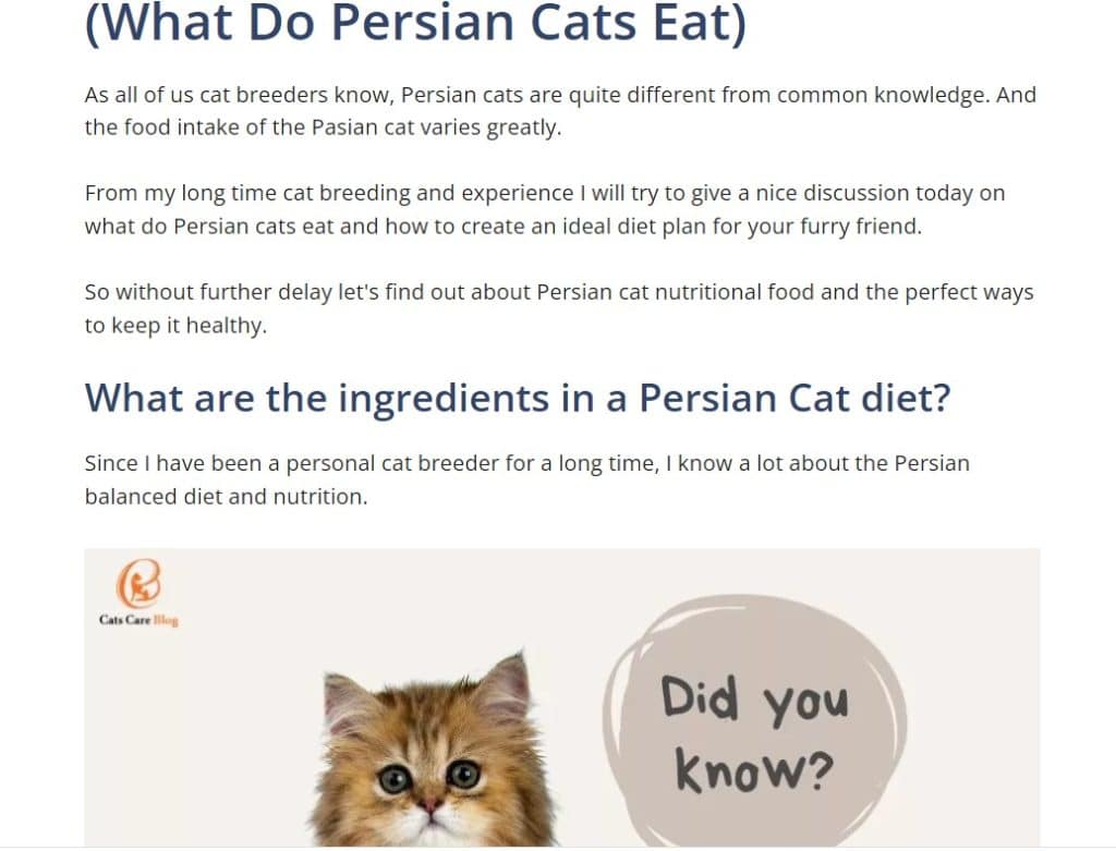 what-do-persian-cats-eat
