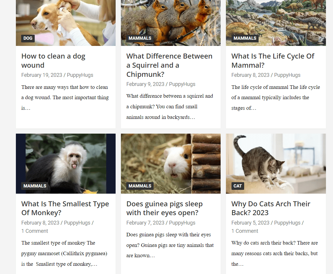 Content-Writing-and-blog-Content-Writing